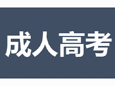 成人学历学院